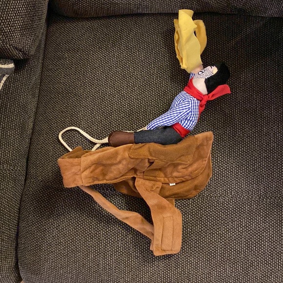 Dog costume - Picture 4 of 5